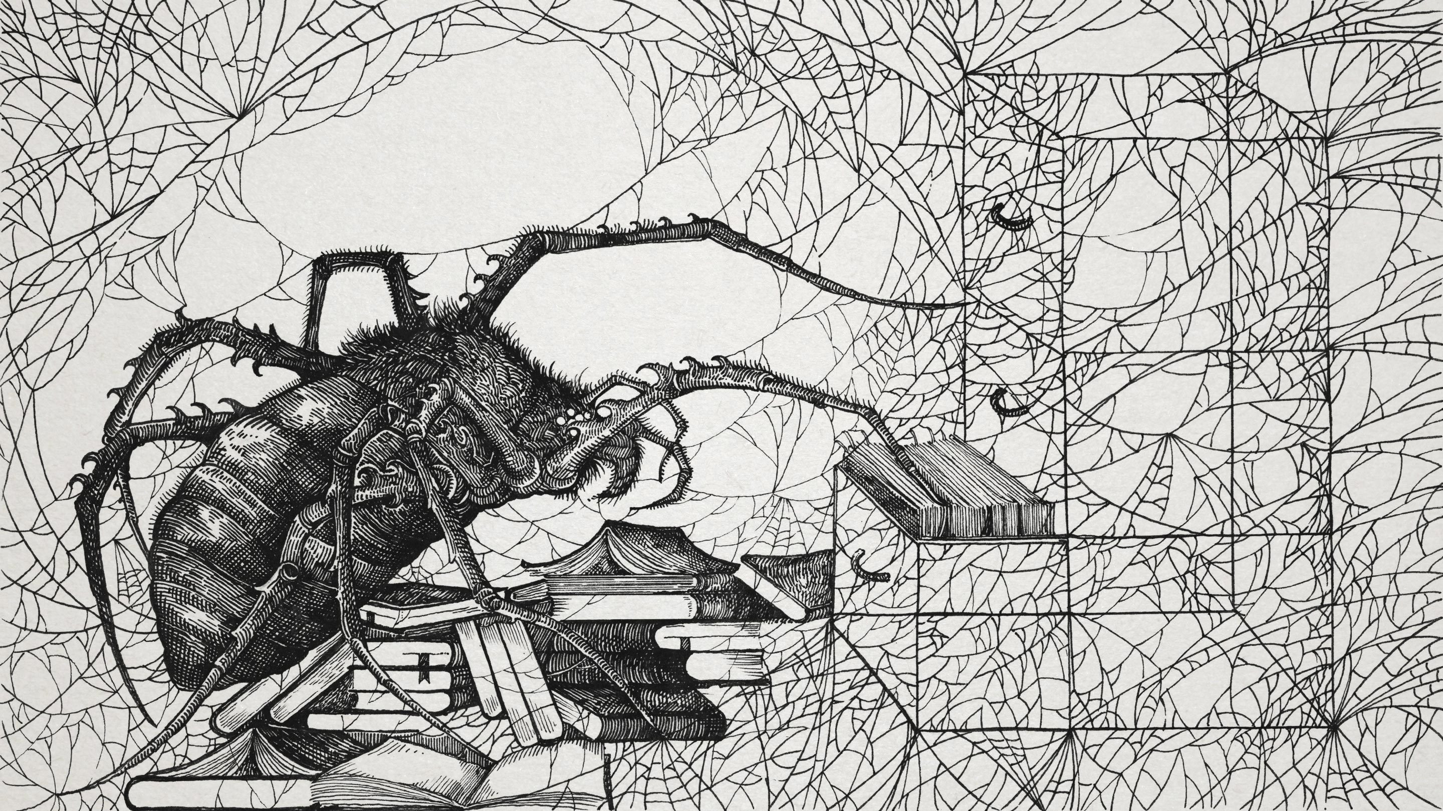 The Thoughts of a Spiderweb | Quanta Magazine | Systems Community of ...