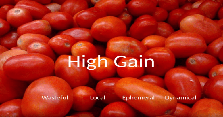 High Gain, Timothy F.H. Allen