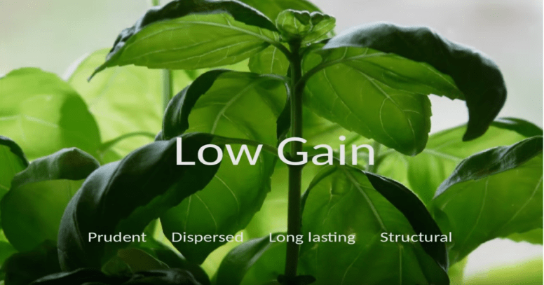 Low Gain, Timothy F.H. Allen