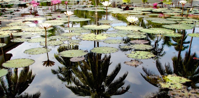 characteristics of systems leadership