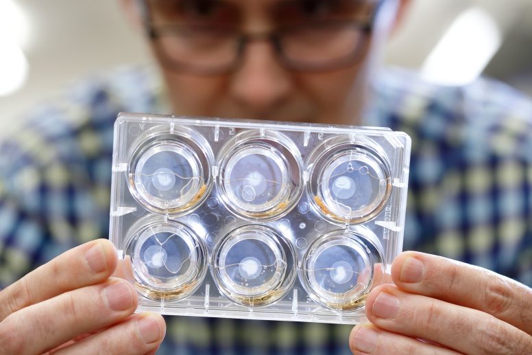 Photo of a Caucasian man wearing a blue plaid shirt holding a clear plastic case with 6 lab samples.
