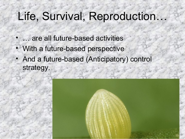 Life, Survival, Reproduction…
• … are all future-based activities
• With a future-based perspective
• And a future-based (...