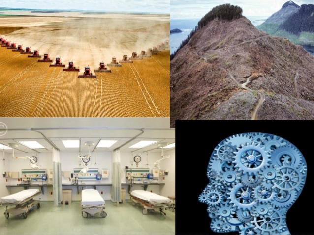 Natural, complex, Anticipatory behavior
that clearly has both information and
sophisticated information-processing
capabil...