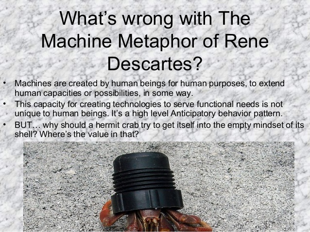 What’s wrong with The
Machine Metaphor of Rene
Descartes?
• Machines are created by human beings for human purposes, to ex...