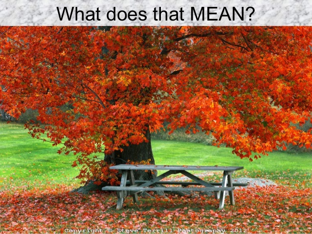 What does that MEAN?
 