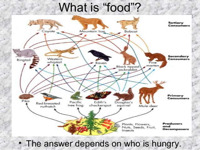 What is “food”?
• The answer depends on who is hungry.
 
