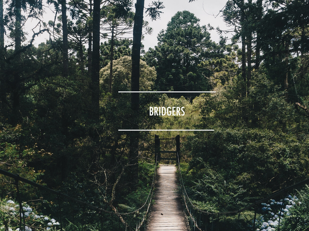 Copy of Bridgers.png